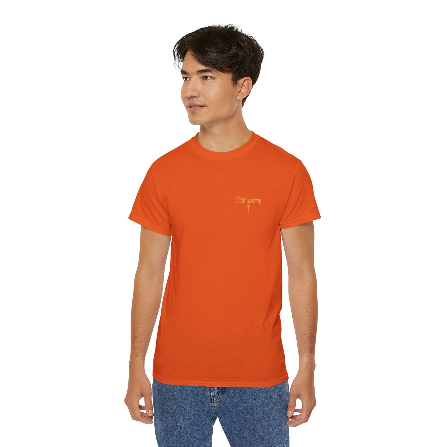 Ganesha v2 | Figura Obscura | Standard T-Shirt