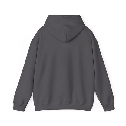 Pheyden Hades | Infinite Legions | Fan Art | Pullover Hooodie