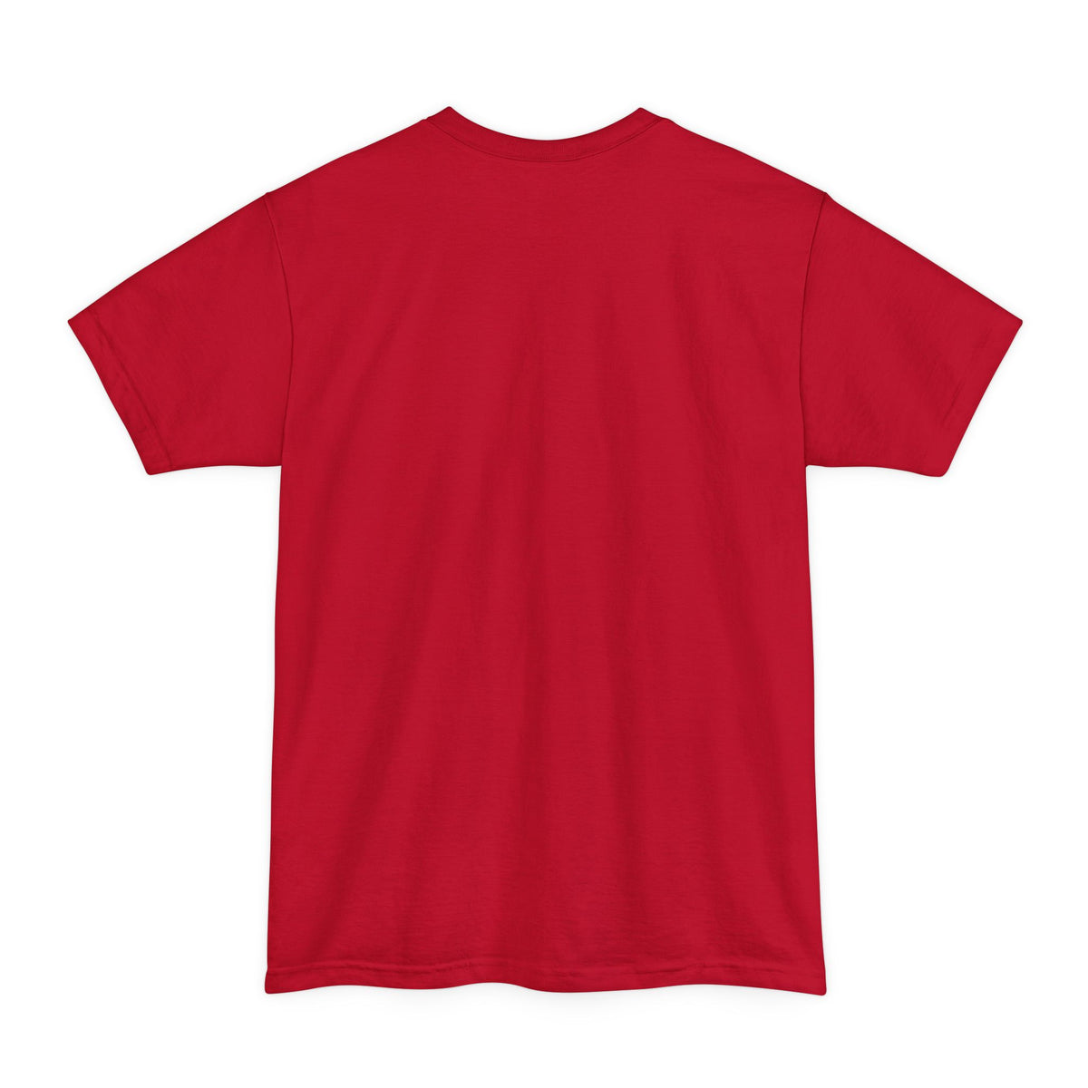 Pheyden Hades | Infinite Legions | Fan Art | Tall T-Shirt