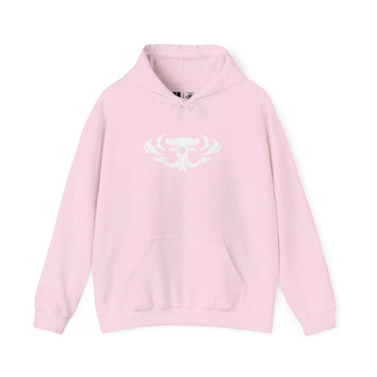 T.U.5.C.C. Wings | Cosmic Legions | Pullover Hoodie