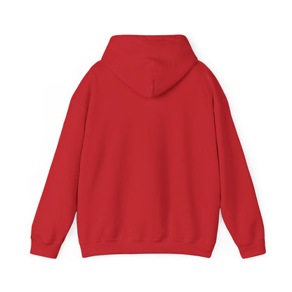 Pheyden Hades | Infinite Legions | Fan Art | Pullover Hooodie