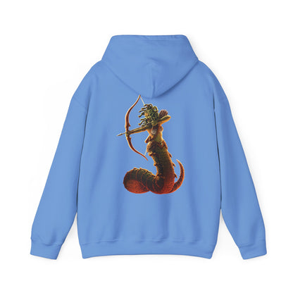 Medusa v2 | Figura Obscura | Pullover Hooodie