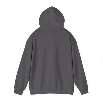 Pheyden Hades | Infinite Legions | Fan Art | Pullover Hooodie