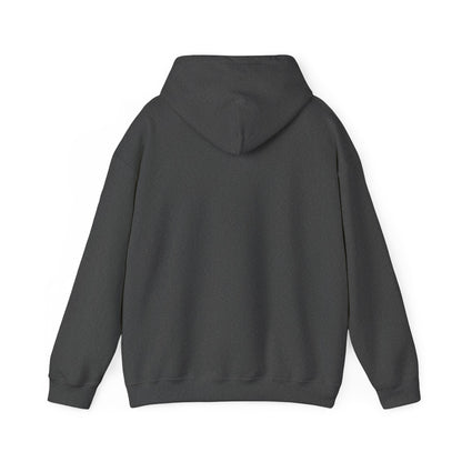 Just Shelve It Logo | Mythic Legions | Fan Art | Pullover Hooodie